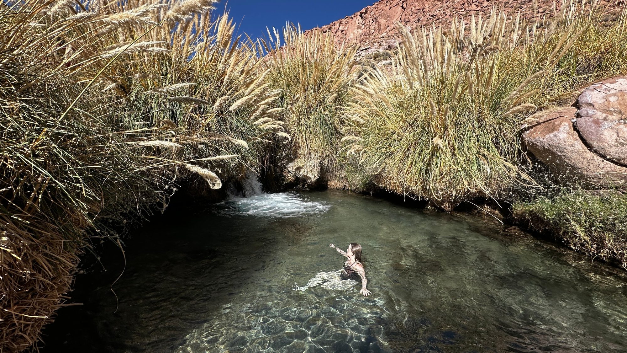 Termas de Puritama, piscina natural entre capim