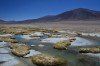  Piedras Rojas, Laguna Tuyajto e Lagunas Altiplânicas em semi-privado