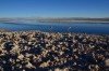  Salar de Atacama e Toconao em semi-privado