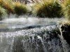 Termas de Puritama em semi-privado